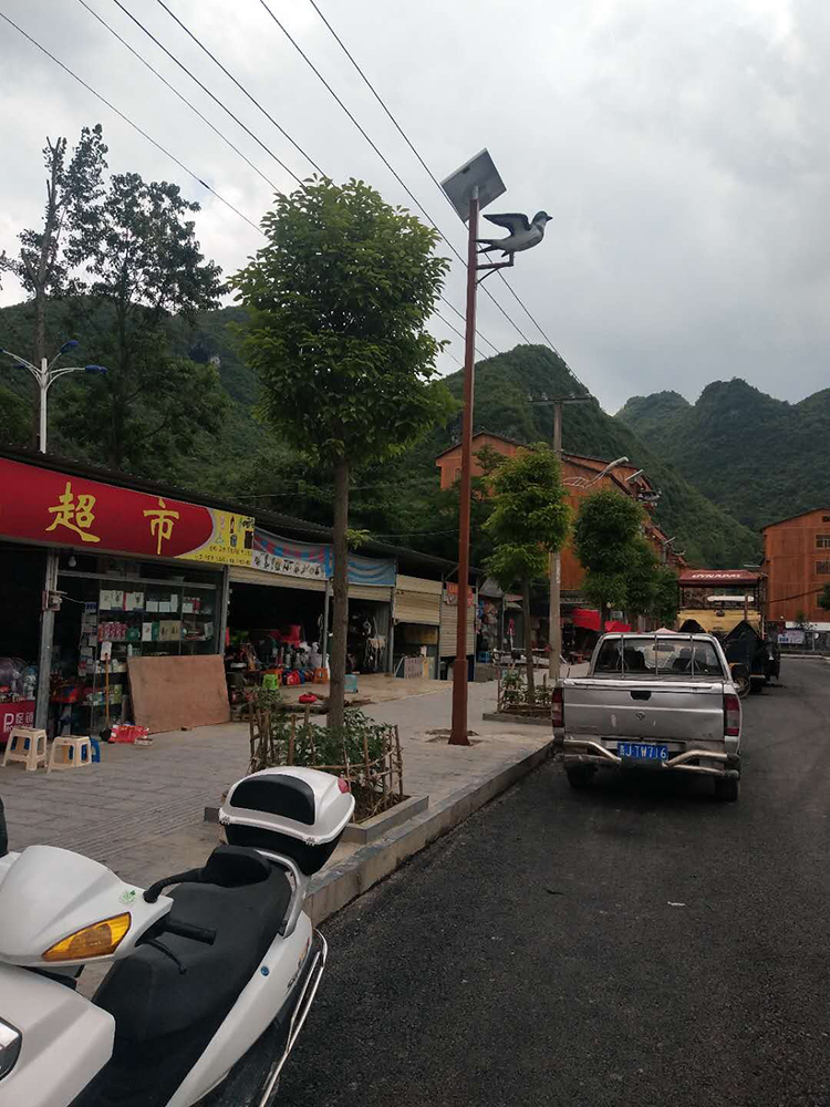 太陽(yáng)能路燈_民族特色太陽(yáng)能路燈_貴州太陽(yáng)能路燈